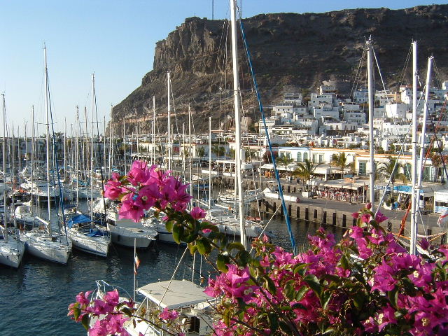 The Marina