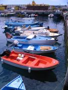 boats in the fishing harbour
